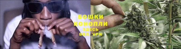 амф Мегион