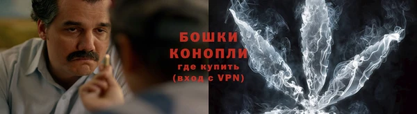 амф Мегион