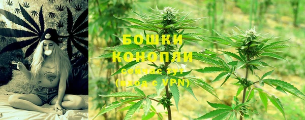 ECSTASY Медногорск
